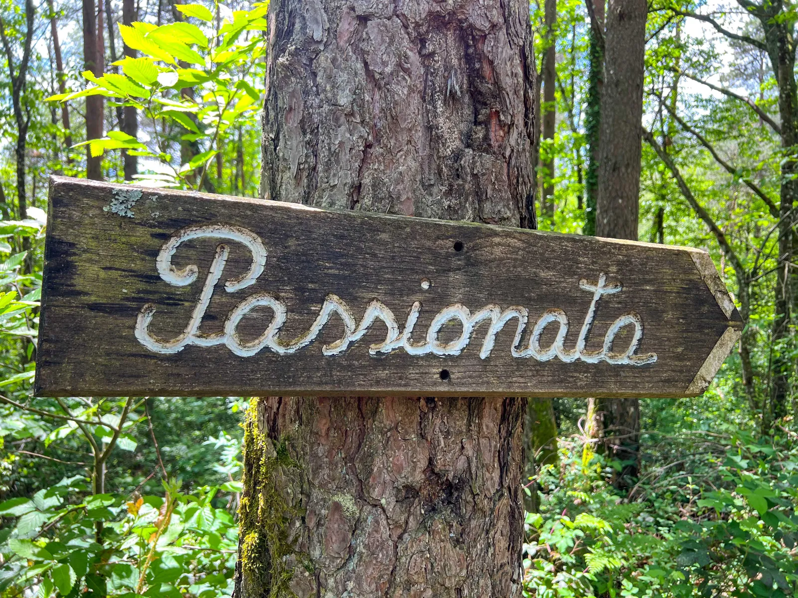 La Yourte Passionata, Vitrac : image 5