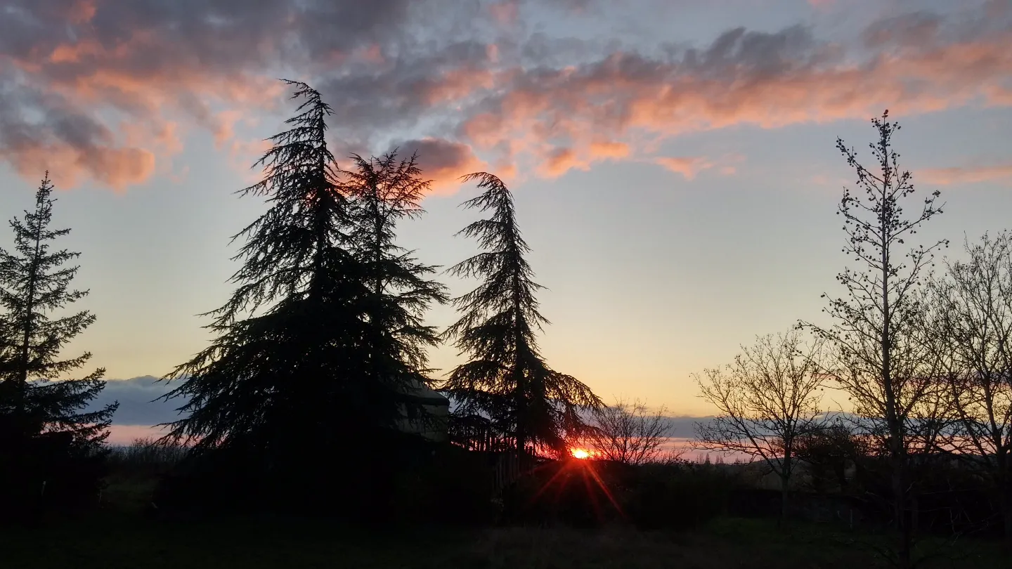 La Yourte perchée, Avon-les-Roches : image 5