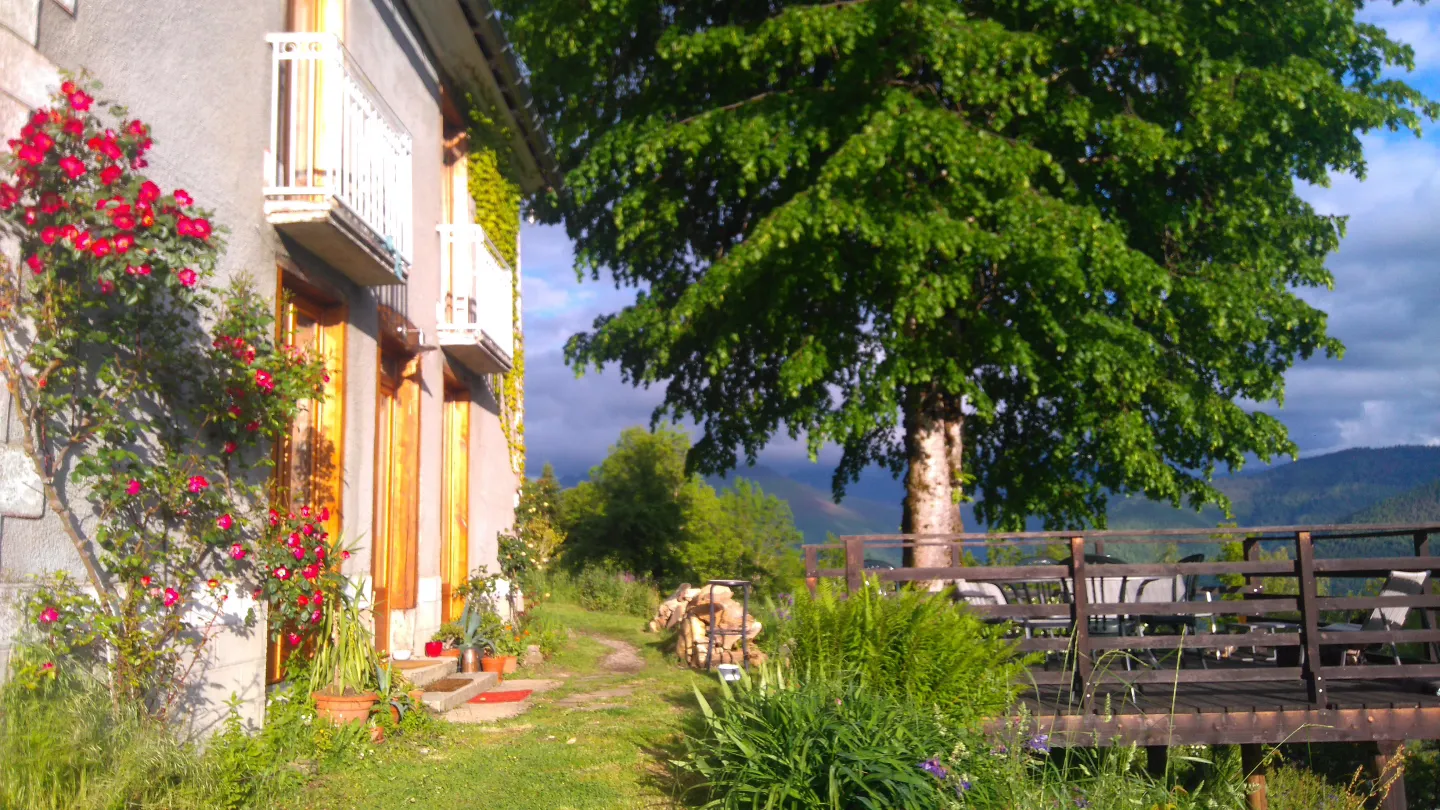 Yourte Rosane (yourte traditionnelle), Biert