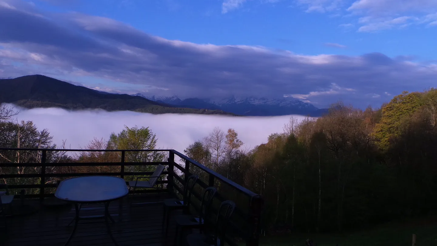 Yourte Rosane, Biert : image 2