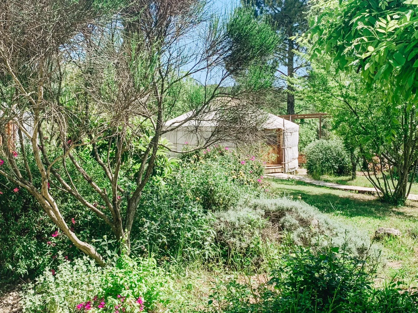 Yourtes du Mas Escombelle, Barjac : image 3