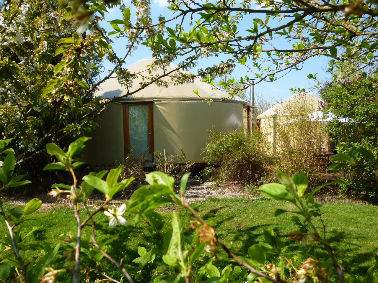 Yourtes du Perche (yourte contemporaine), Coulonges-sur-Sarthe
